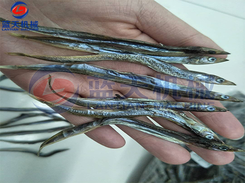 魚干烘干機烘干現場